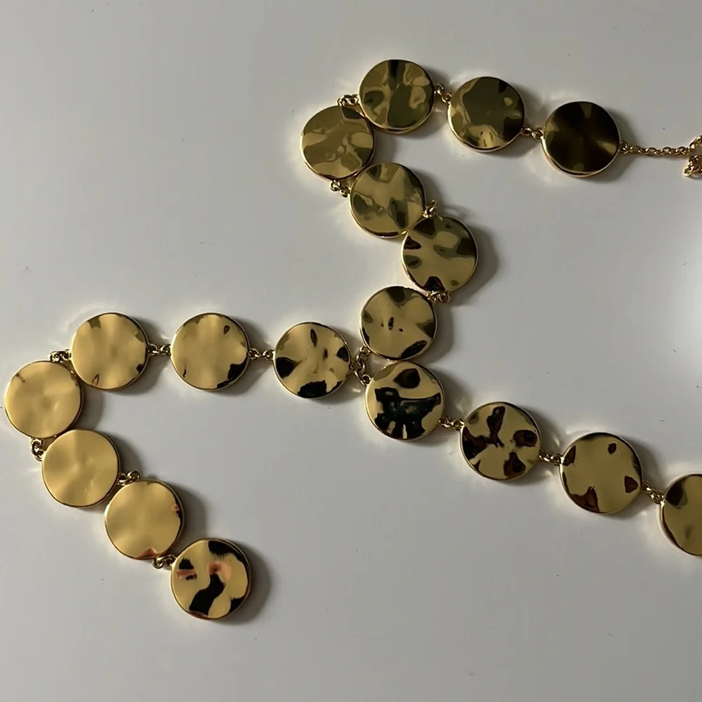 Gorjana disc necklace - Picture 4 of 4